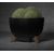 Flower pot Lamela Bowl ROMA ECO recycled 330 jumper 12,4 black