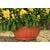 Plastic flower pot FORM PLASTIC Misa VERONA 0413-010 Ø38 terracotta