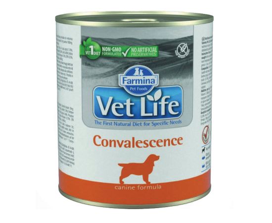 ძაღლის საკვები გამოჯანმრთელების პერიოდში Farmina Vet Life Convalescence 300 გ