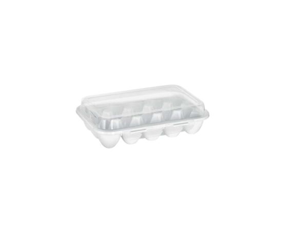 Container for storing eggs PLAST ART yu-125 section 15