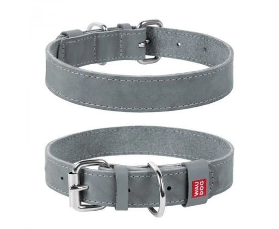 Leather dog Collar WAUDOG Classic 21-29cm gray
