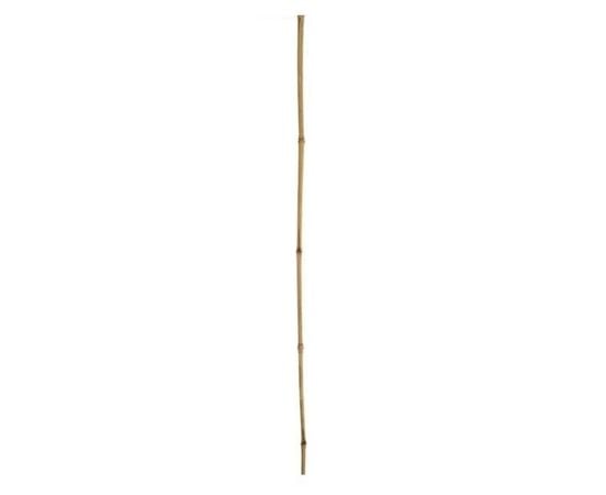 Decorative bamboo 75 cm