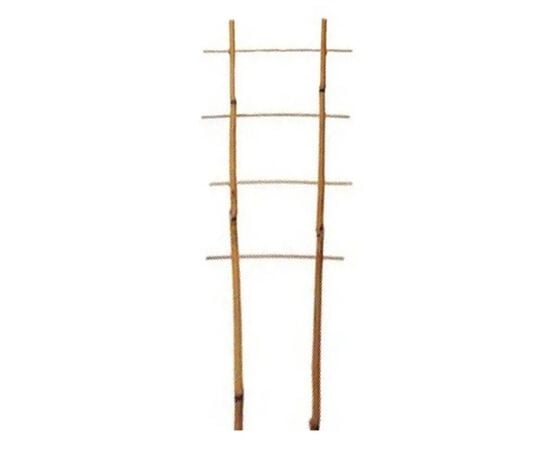 Support bamboo ladder 75 cm