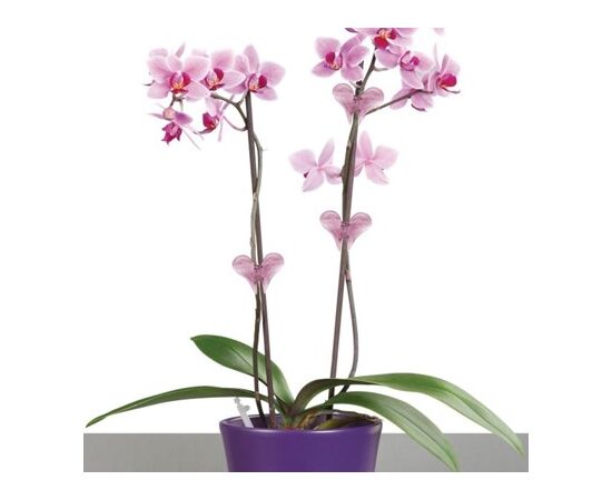 Supporter for orchids Scheurich 152/04 transparent