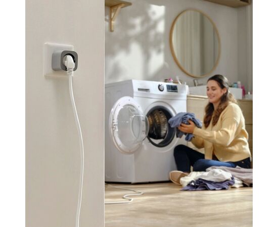 Socket Smart EcoFlow