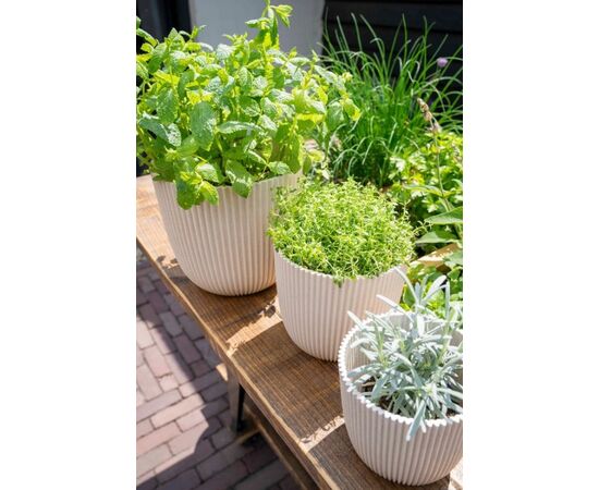 Flower pot Capi Europe Planter ball Groove sawdust 21,5x20cm