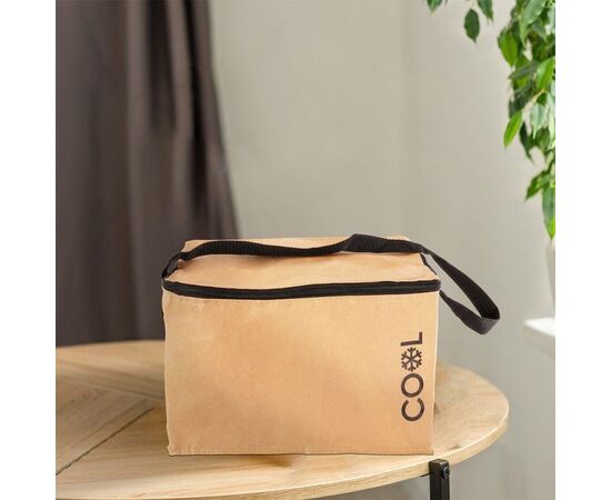 თერმოჩანთა Cooler Bag 529003030 10 ლ