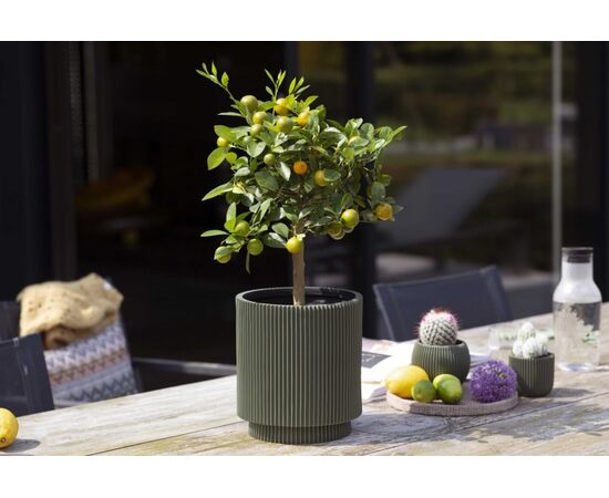 Flower pot Capi Europe Vase cylinder Groove 19x21cm green