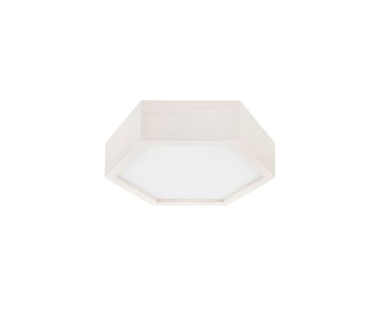 Ceiling lamp Lamkur HEX 1xE27 max 60W white