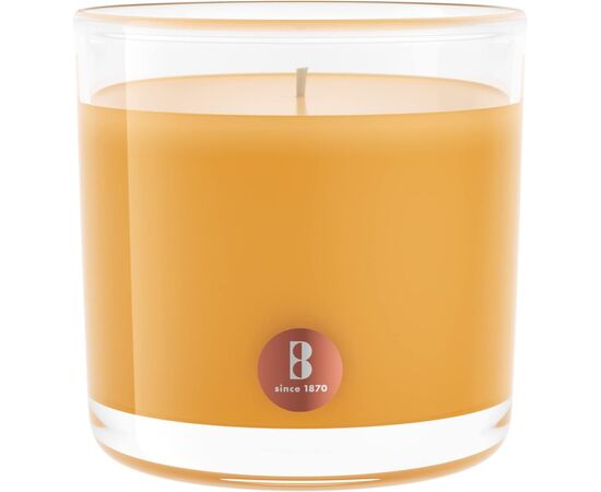 Candle in glass with aroma mango scent Bolsius 95/95