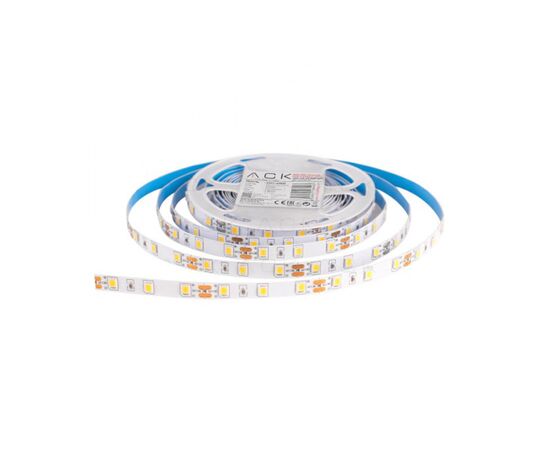 Tape LED ACK 7W 12V 5m 6500K 4040 Double IP20 red