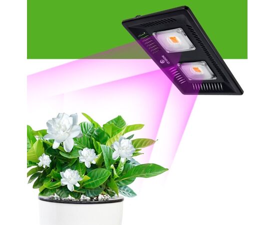 Lamp for plants CF-UT02 200W IP67