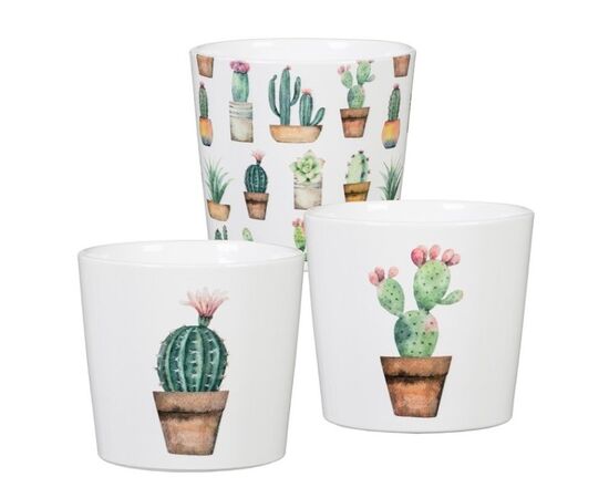 კერამიკული ქოთანი ყვავილებისთვის Scheurich 870/09 COVER-POT CACTUS GARDEN