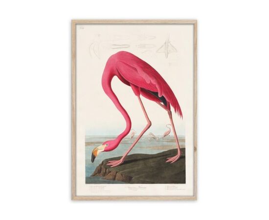 Picture in a frame Styler FP039 FLAMINGO 50X70