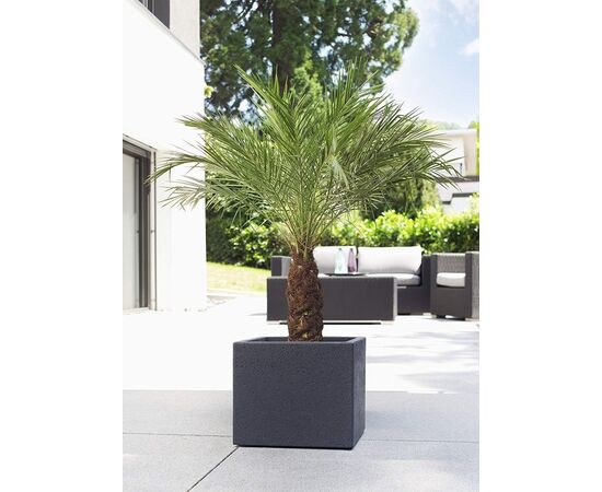 Plastic flower pot Scheurich 240/30 C-CUBE STONY GREY