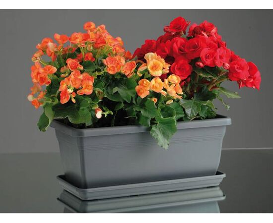 Flower pot FORM PLASTIC Box Gala 40 anthracite