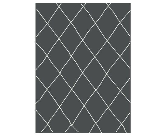 ხალიჩა DCcarpets Blizz 79808 Anthracite/white 160x230 სმ