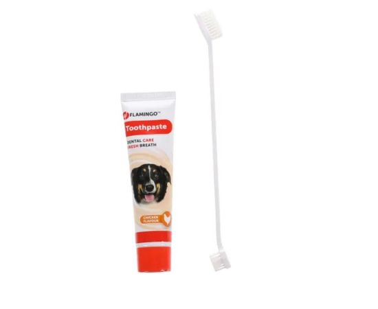 Dental care kit for dogs with chicken flavor Flamingo