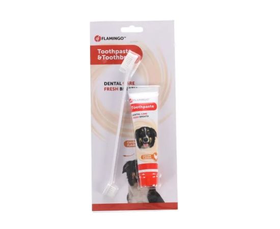 Dental care kit for dogs with chicken flavor Flamingo