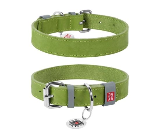 Leather dog Collar WAUDOG Classic 21-29cm light green