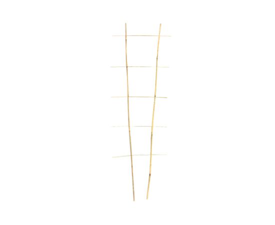 Bamboo decorative 120 cm