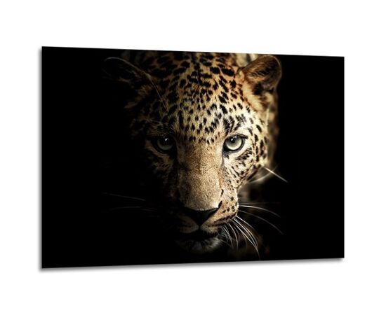 Картина на стекле Styler Leopard GL246 70X100 см