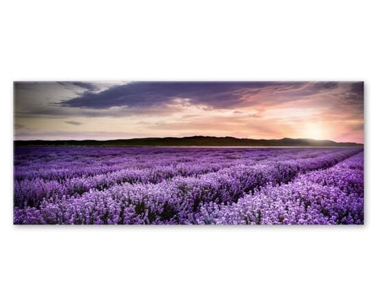 A picture on glass Styler LAVENDER FIELD EX372 50X125