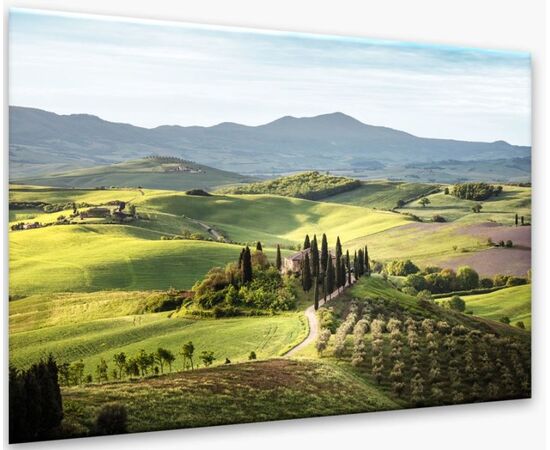 Glass picture Styler Tuscany ST546 80X120 cm