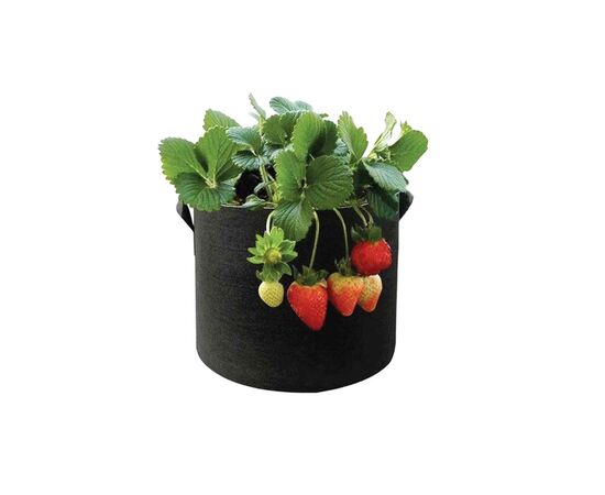 Fabric pot Smart Pot 124-01 3.9 l