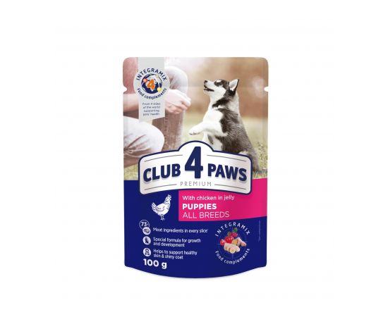 Jelly 4 Paws puppy with chicken meat 0,1 kg