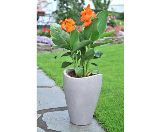 Flower plastic pot Scheurich STONY GRAY 40/254 HOCHGEFAESS