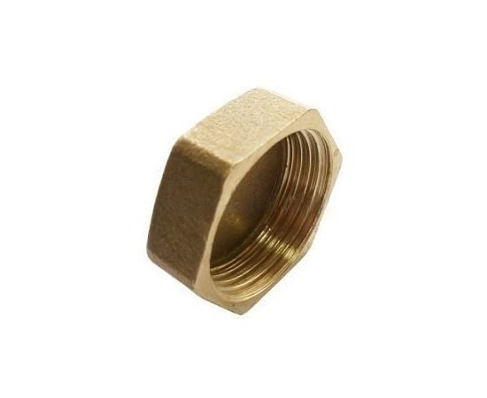 Brass plug IFAN “1“ v.r