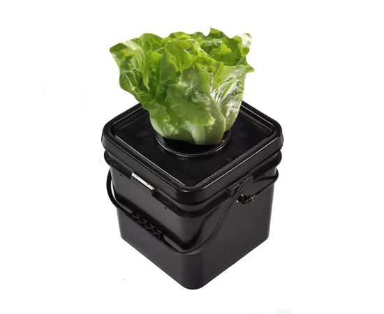 Hydrophonics DWC system GrowGrow 20l