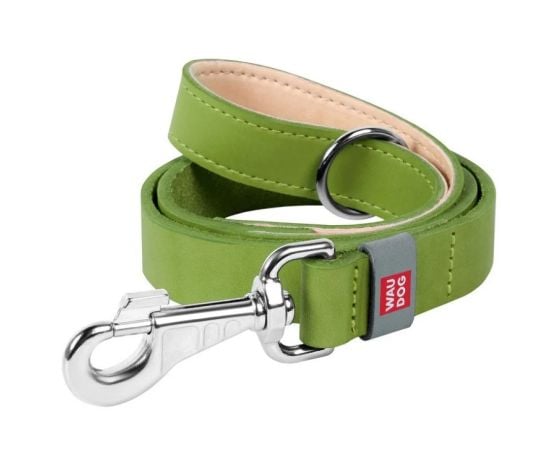 Leash Waudog Classic 1.22 m 20 mm green