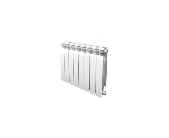 Radiator aluminum sectional Ali Princess 600