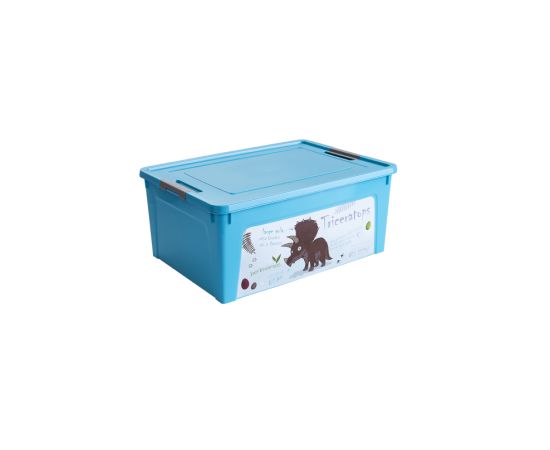 Container with decor Aleana Smart Box 7,9l turquoise