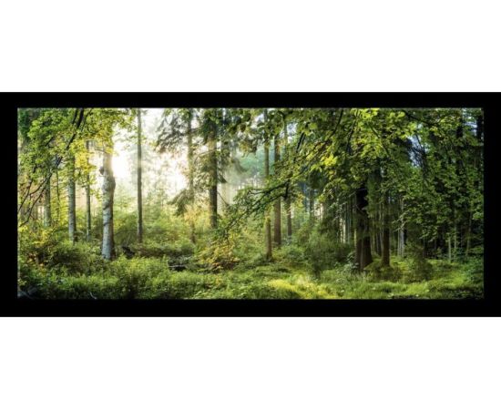 A picture on glass Styler GL319 FOREST 50X125