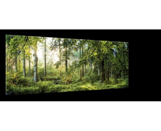 A picture on glass Styler GL319 FOREST 50X125