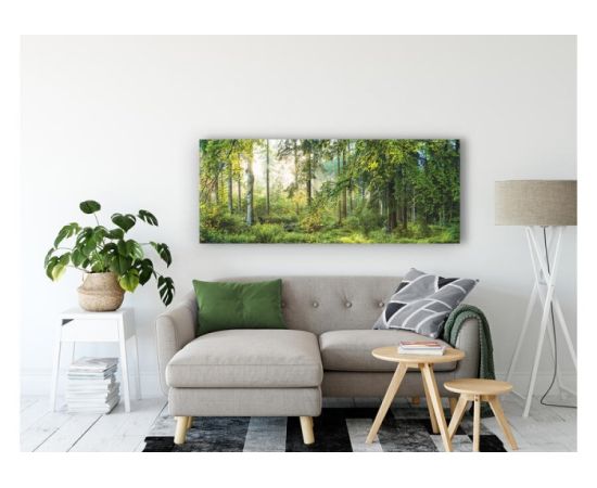 A picture on glass Styler GL319 FOREST 50X125