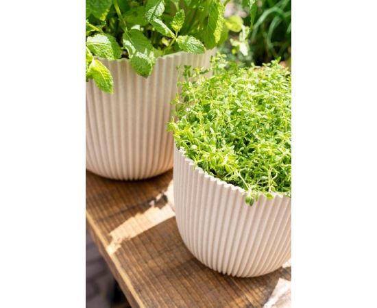 Flower pot Capi Europe Planter Ball Groove sawdust 16,5x15cm beige