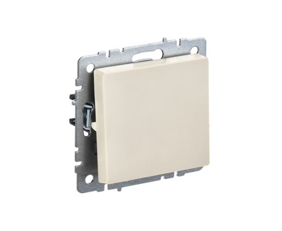 Switch pass-through without frame IEK BRITE 1 10A VS10-1-6-BrB