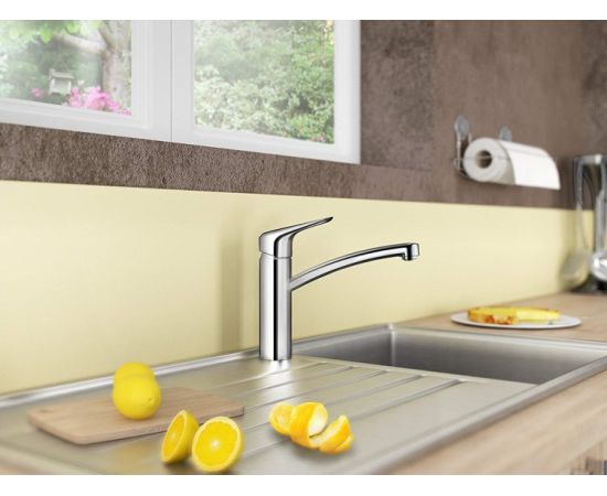 Kitchen faucet Hansgrohe Ecos M 14815000