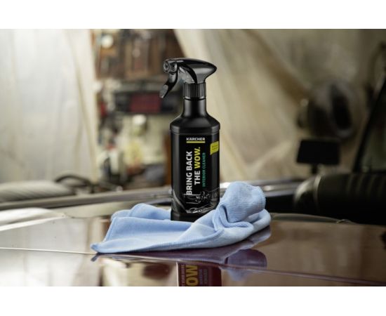 Car interior cleaner Karcher RM 651 500 ml