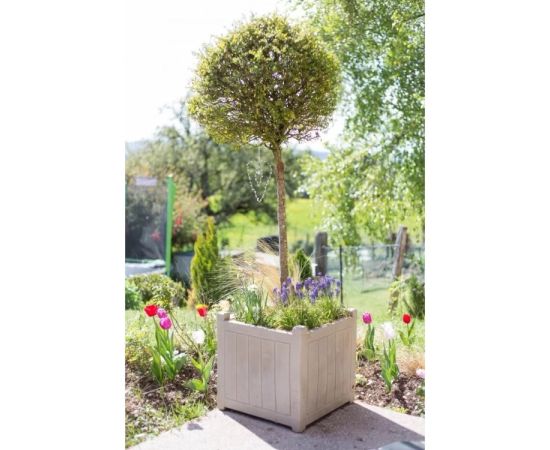 Wooden pot EDA Plastiques CHARME BAC CARRE 40 X 40 X 40 cm 31 L