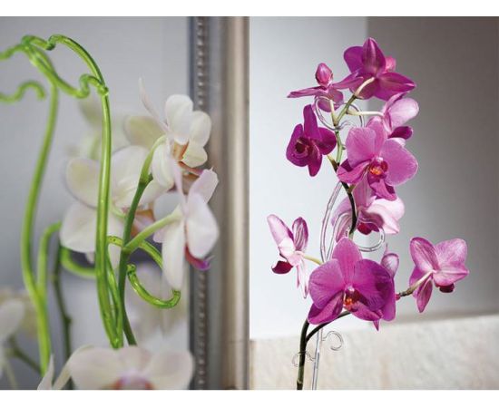 Orchid stand FORM PLASTIC 39 cm