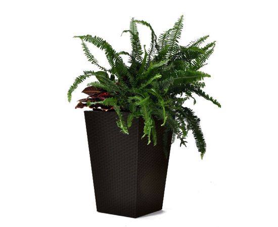 ყვავილის ქოთანი Keter როტანგი Medium Rattan Planter 55,4 ლ