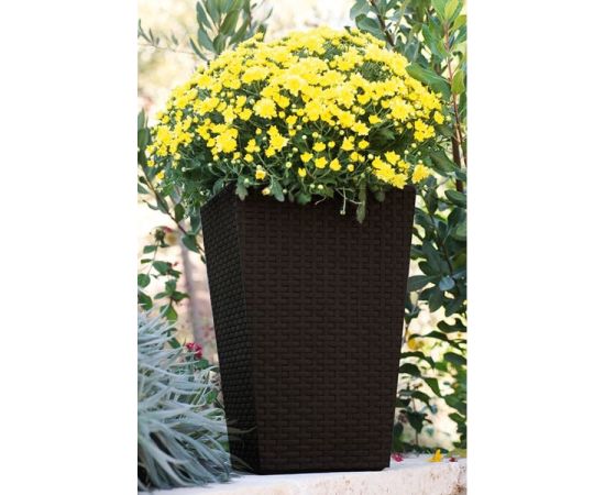 ყვავილის ქოთანი Keter როტანგი Medium Rattan Planter 55,4 ლ