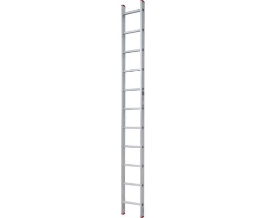 Ladder NV 2210111 290 cm