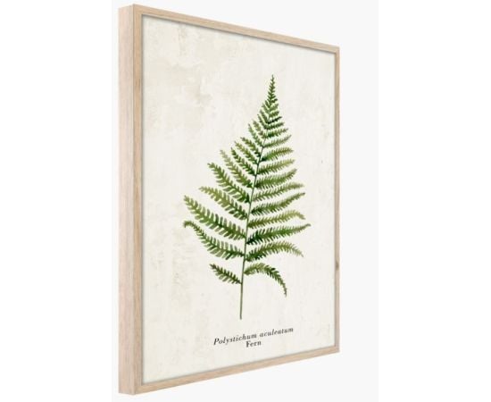 Picture in frame Styler Fern FP036 50x70 cm