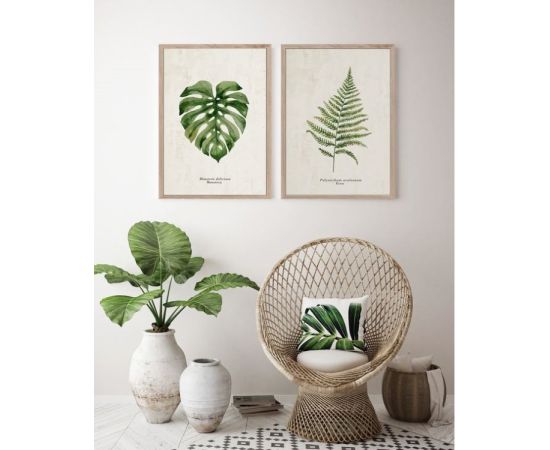 Picture in frame Styler Fern FP036 50x70 cm